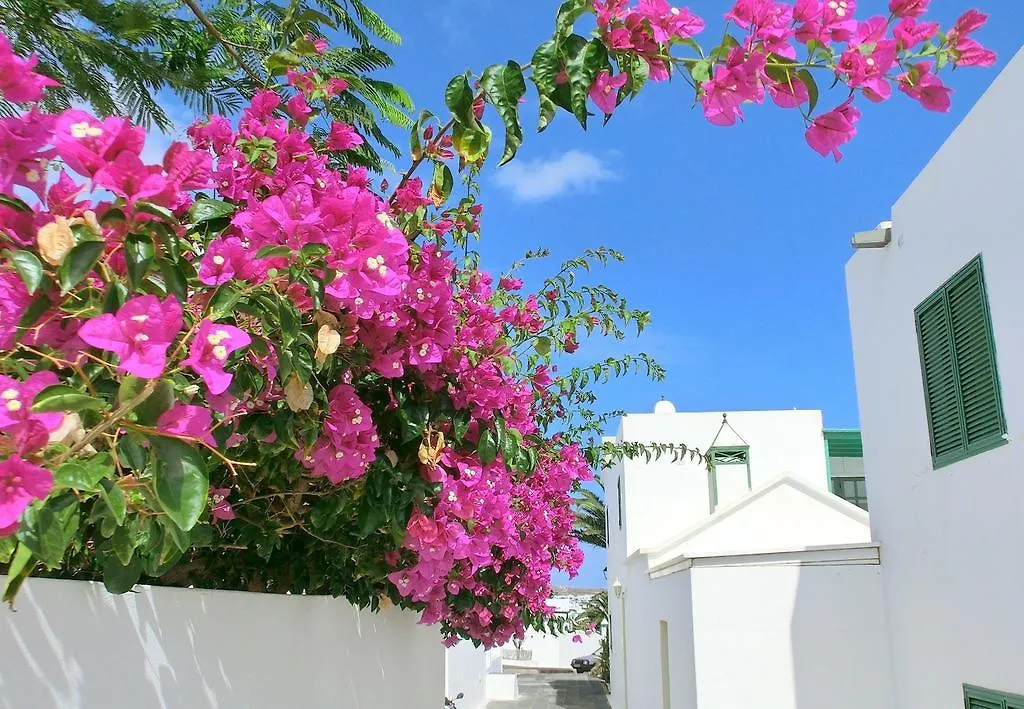 Villas Puerto Rubicon Playa Blanca  0*, Playa Blanca (Lanzarote) Spain